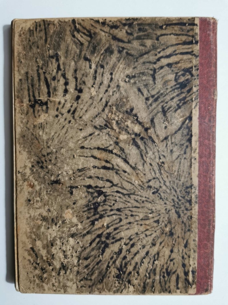 W SZPONACH NĘDZY. 1921 - W. Hugo