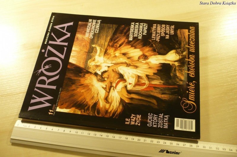 WRÓŻKA 11/2000