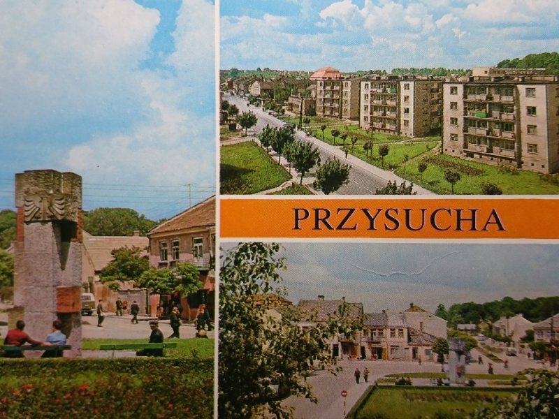 PRZYSUCHA. POMNIK PARTYZANTÓW... FOT. RACZKOWSKI