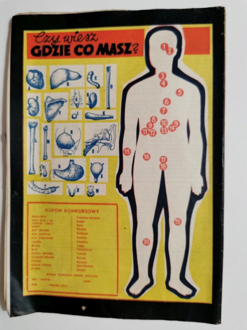 ŻYJMY DŁUŻEJ ROK IV GRUDZIEŃ 1961 NR 12 (44)