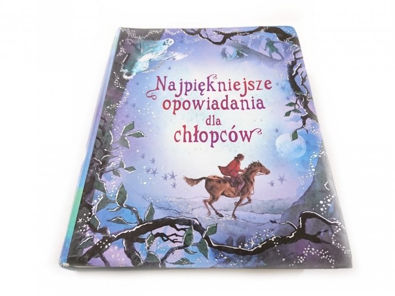 NAJPIĘKNIEJSZE OPOWIADANIA DLA CHŁOPCÓW 2008