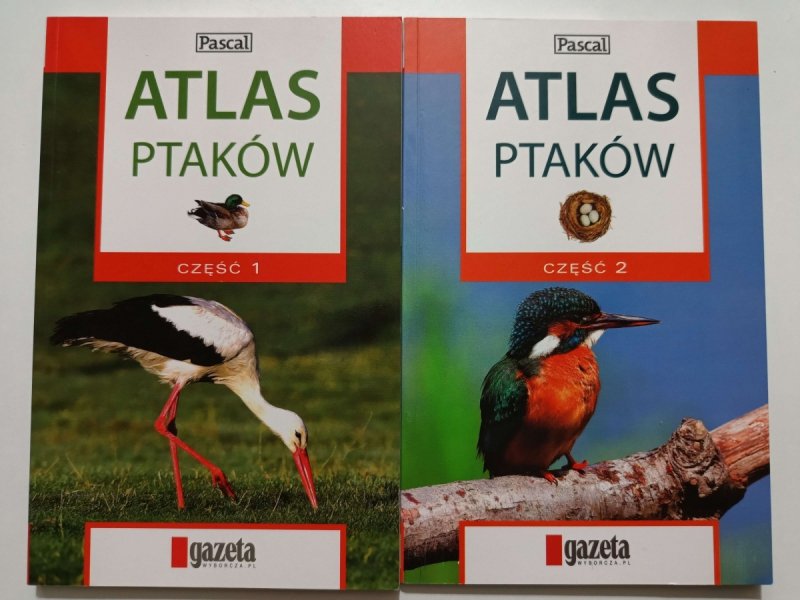 ATLAS PTAKÓW. Pascal