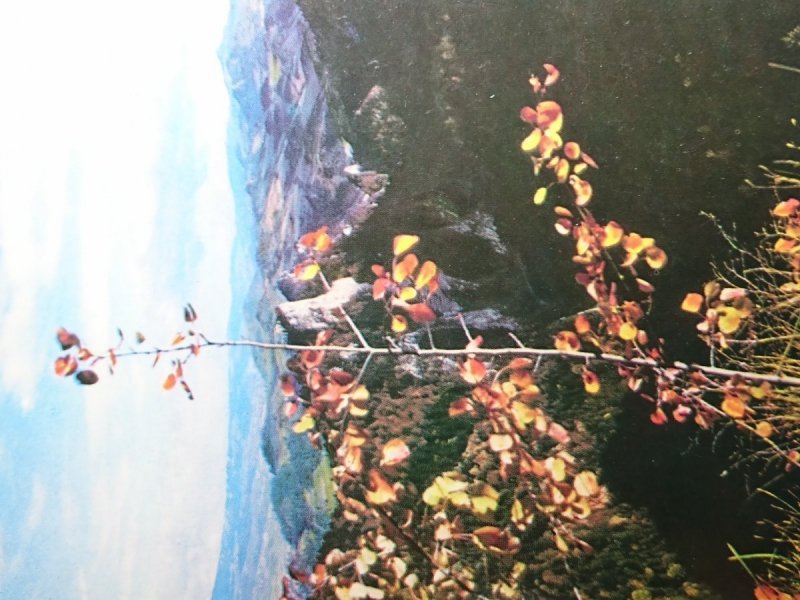 PIENINY. WIDOK Z ZAMKOWEJ GÓRY 799 m FOT. BILIŃSKI