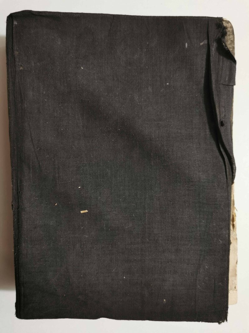 CHOROBY NIEMOWLĄT I DZIECI 1936 - Emmett Holt