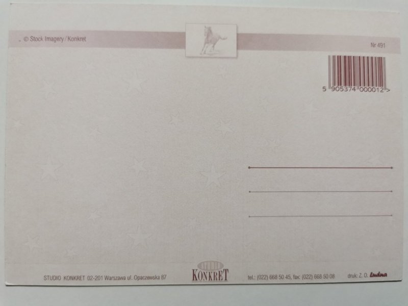 STADO BRĄZOWYCH KONI BIEGNĄCYCH