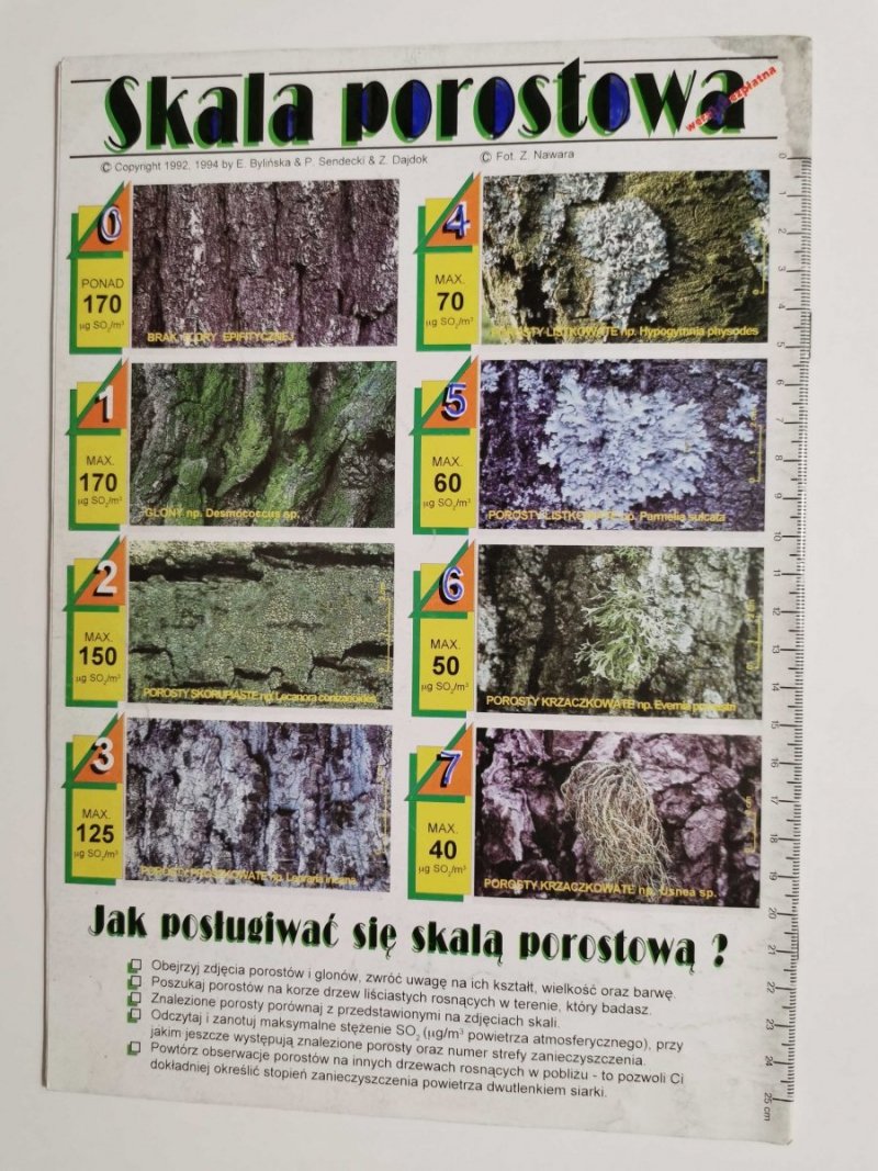 PROPOZYCJE NR 1/96/54 WIOSNA '96
