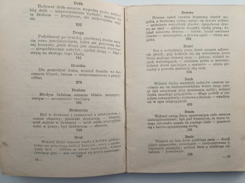 NOWOCZESNY PERSKO-EGIPSKI SENNIK 