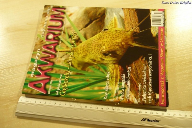 MAGAZYN AKWARIUM NR 10/2004 (35)