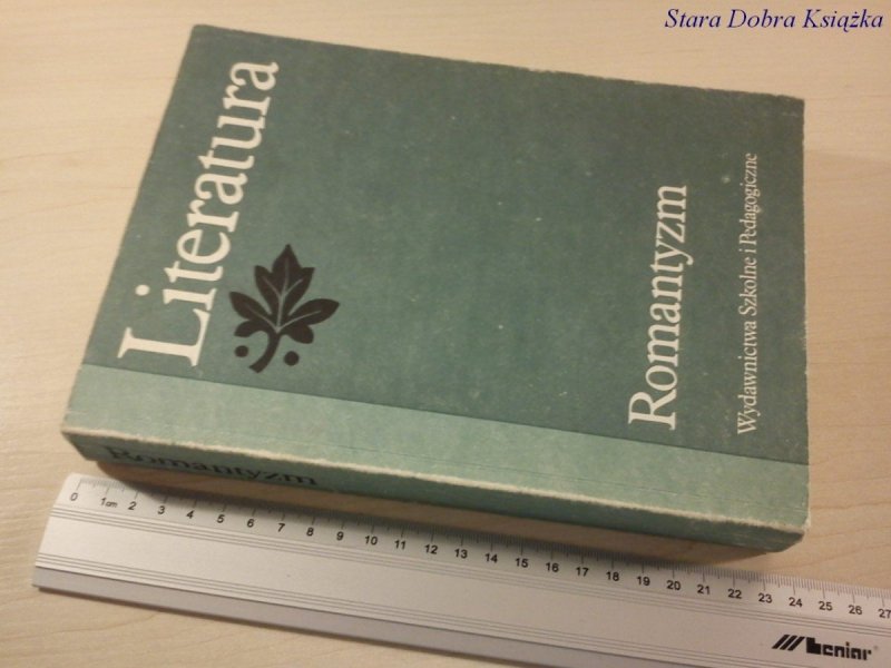 LITERATURA ROMANTYZM - STANISŁAW MAKOWSKI