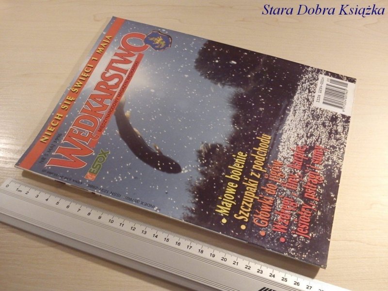 WĘDKARSTWO - GŁÓWKI DO JIGÓW 5/1996