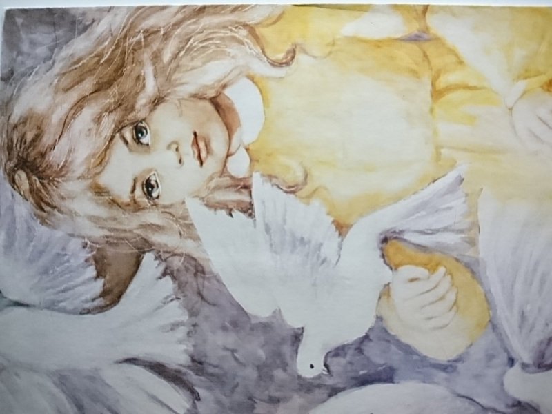 AGNIESZKA MAL. D. MUSZYŃSKA-ZAMORSKA