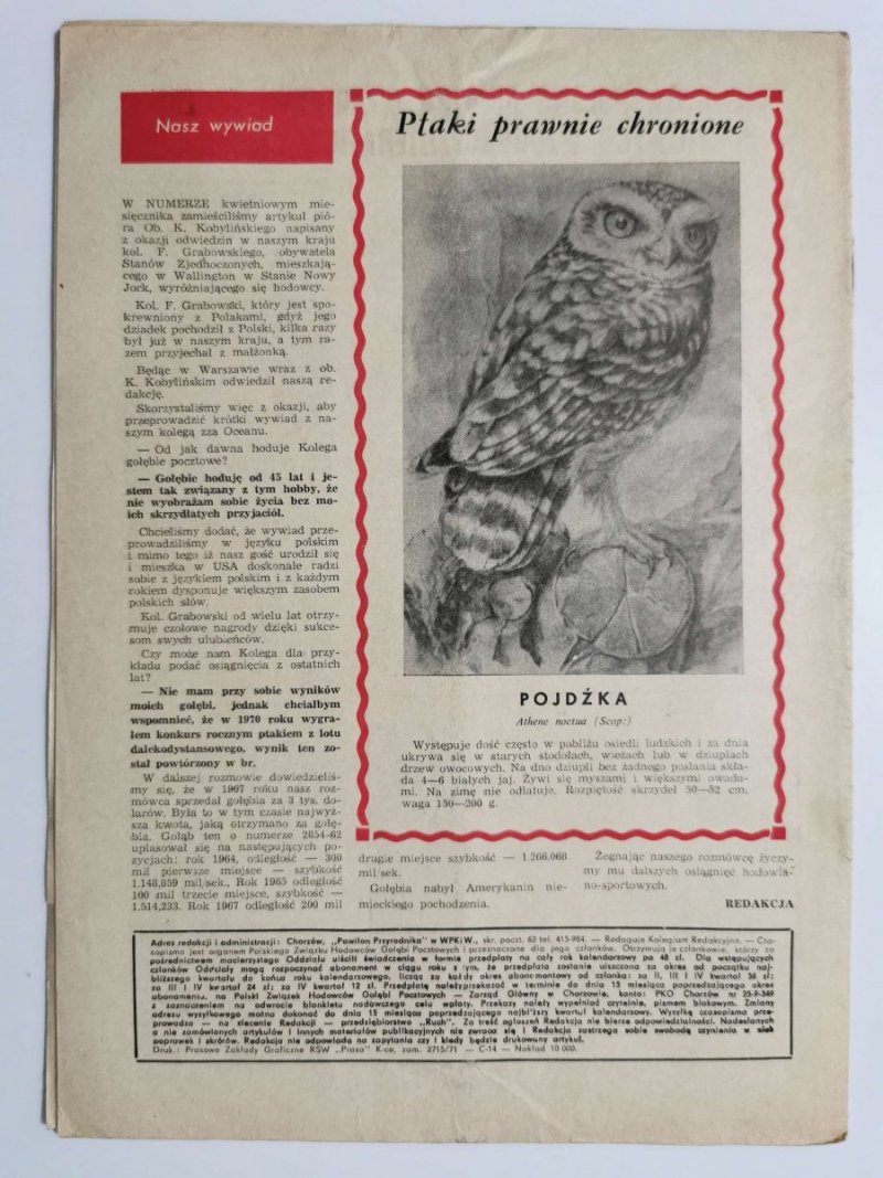 HODOWCA GOŁĘBI POCZTOWYCH NR 9  1971