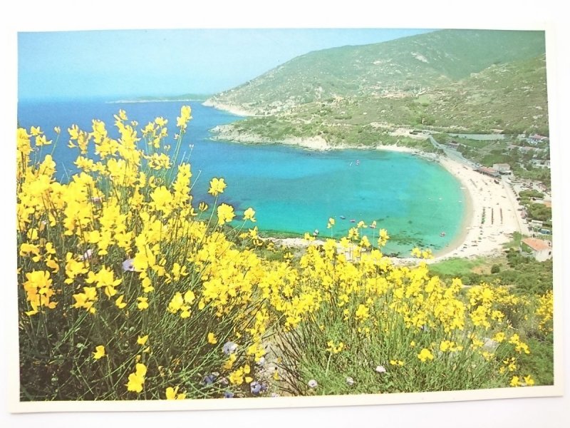 CAVOLI. ISOLA D'ELBA