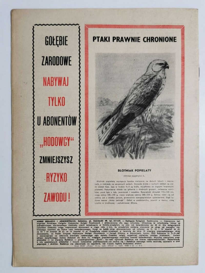 HODOWCA GOŁĘBI POCZTOWYCH NR 2 1967