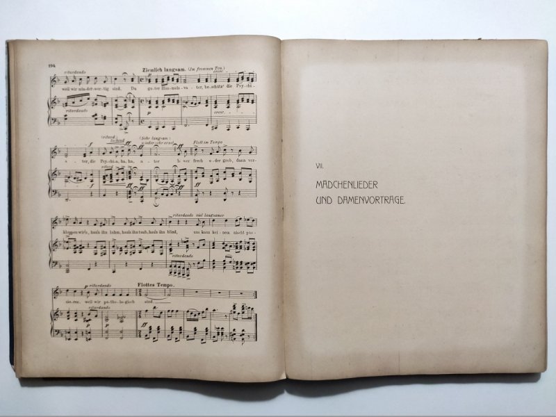MUSIK ALBUM IN LUSTIGER GESELLSCHAFT 1907