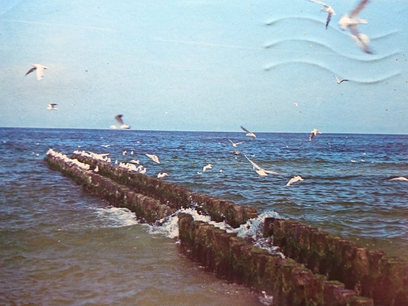 FALOCHRON FOT. L. SUROWIEC