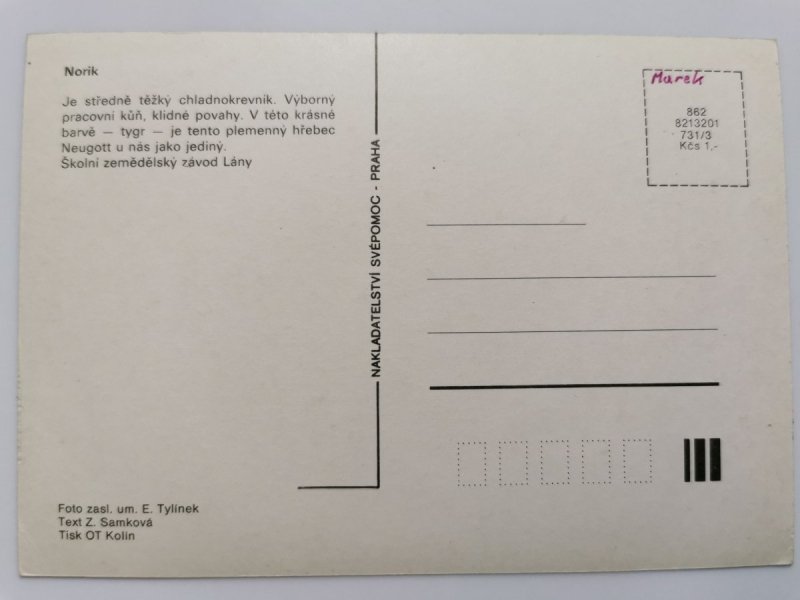 NORIK. JE STREDNE TEŹKY CHLADNOKREVNIK FOT. TYLINEK