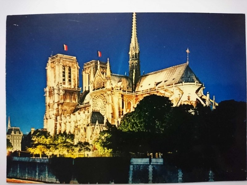 PARIS. NOTRE-DAME ILLUMINEE