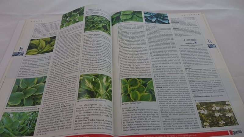 ILUSTROWANA ENCYKLOPEDIA ROŚLIN CZĘŚĆ 4/8 G-K