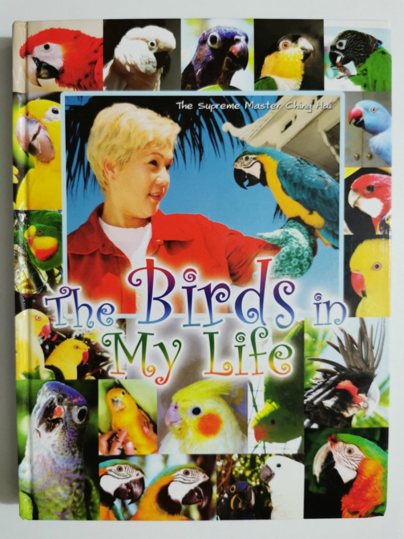 THE BIRDS IN MY LIFE
