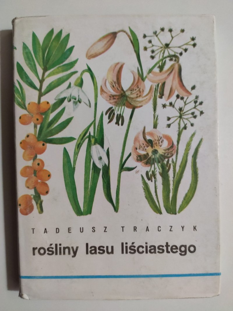 ROŚLINY LASU LIŚCIASTEGO - Tadeusz Traczyk