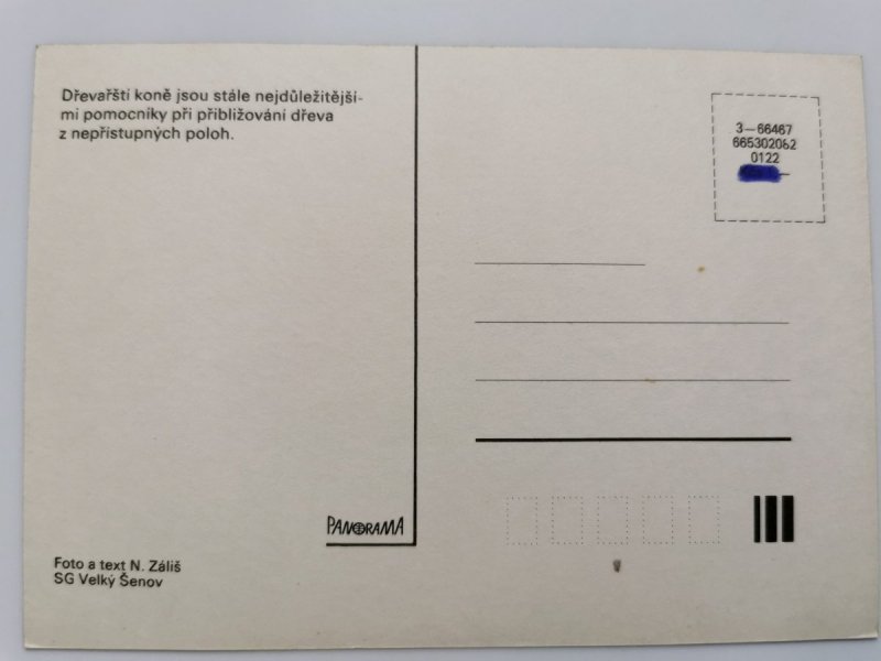 DREVARSTI KONE JSOU STALE NEJDULEZITEJSIMI POMOCNIKY