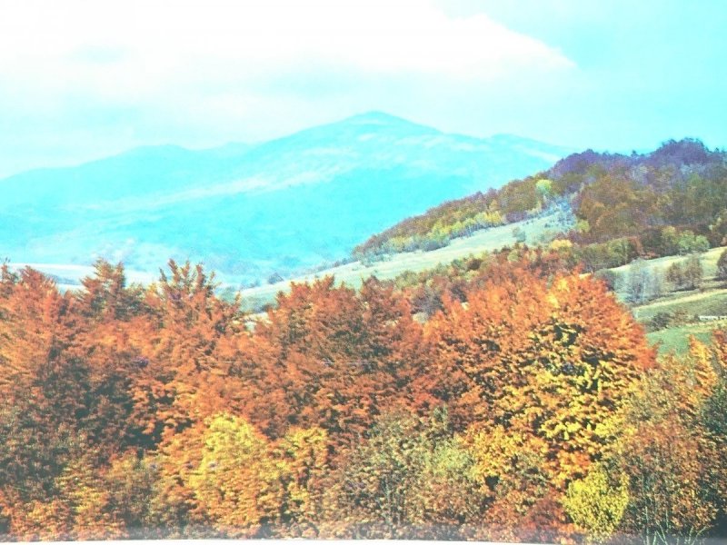 BIESZCZADY. WIDOK NA POŁONINĘ WETLIŃSKIEJ 1253m
