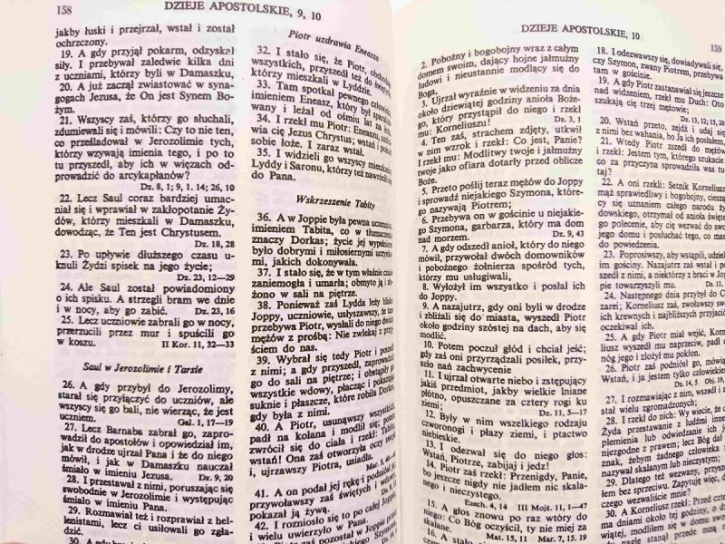 NOWY TESTAMENT I PSALMY. NOWY PRZEKŁAD 1994
