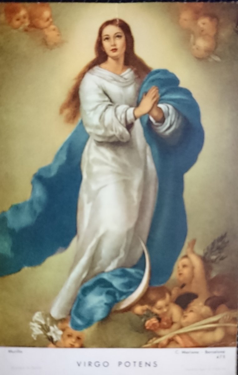 VIRGO POTENS