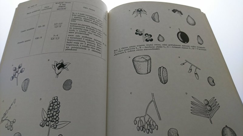 ZATRUCIA ROŚLINAMI WYŻSZYMI I GRZYBAMI 1984