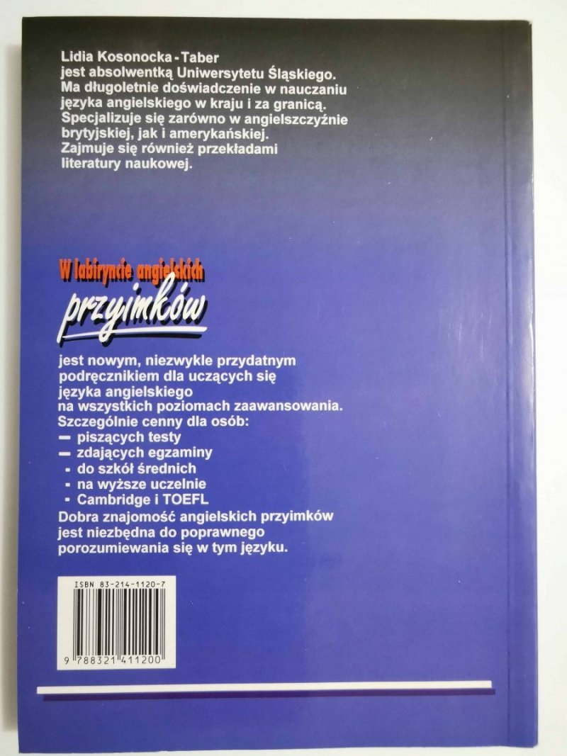 W LABIRYNCIE ANGIELSKICH PRZYIMKÓW - Lidia Kosonocka-Taber 1999