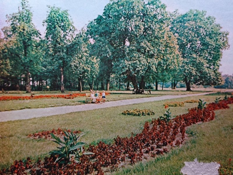WRZEŚNIA. PARK FOT. A. STELMACH