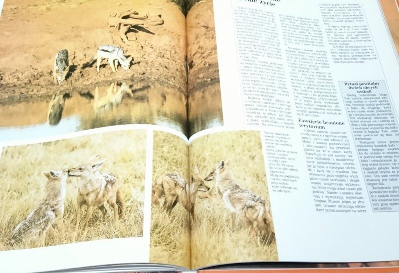 ENCYKLOPEDIE DZIKICH ZWIERZĄT. SAWANNY AFRYKAŃSKIE