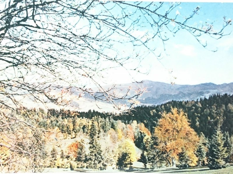 JESIEŃ W PIENINACH WG FOTOGRAFII BARWNEJ 
