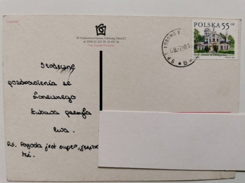 CZAPLINEK. CZTERY UJĘCIA FOT. WARZOCHA