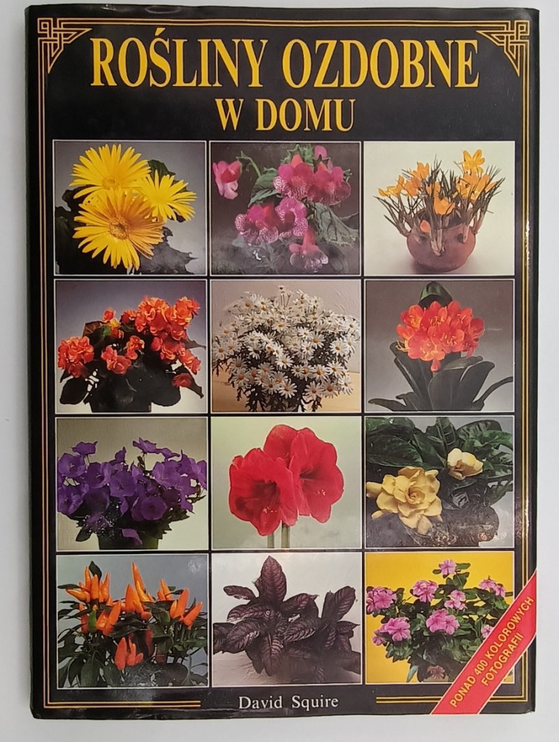 ROŚLINY OZDOBNE W DOMU - David Squide