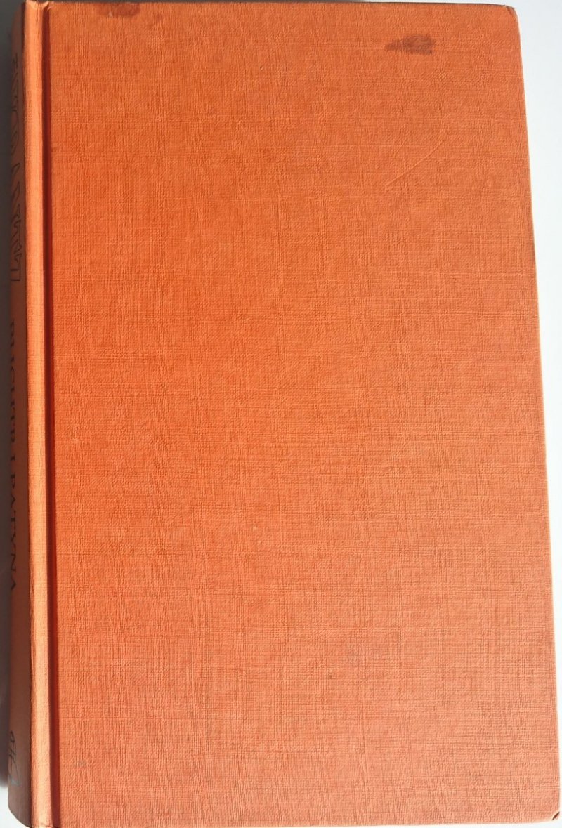 BLICHTR I PATYNA - Judith Krantz 1995