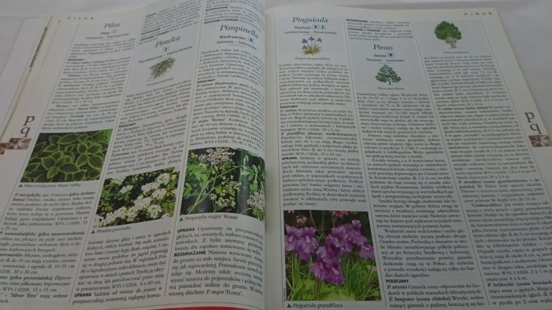 ILUSTROWANA ENCYKLOPEDIA ROŚLIN CZĘŚĆ 6/8 P-Q
