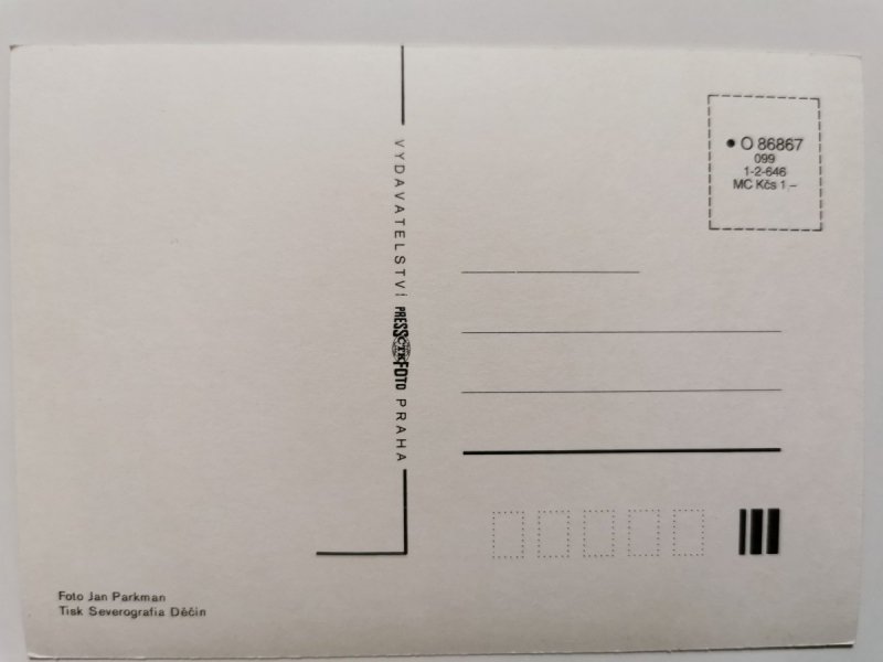 BRĄZOWY KOŃ Z BIAŁYM PASEM WZDŁUŻ PYSKA FOT. PARKMAN