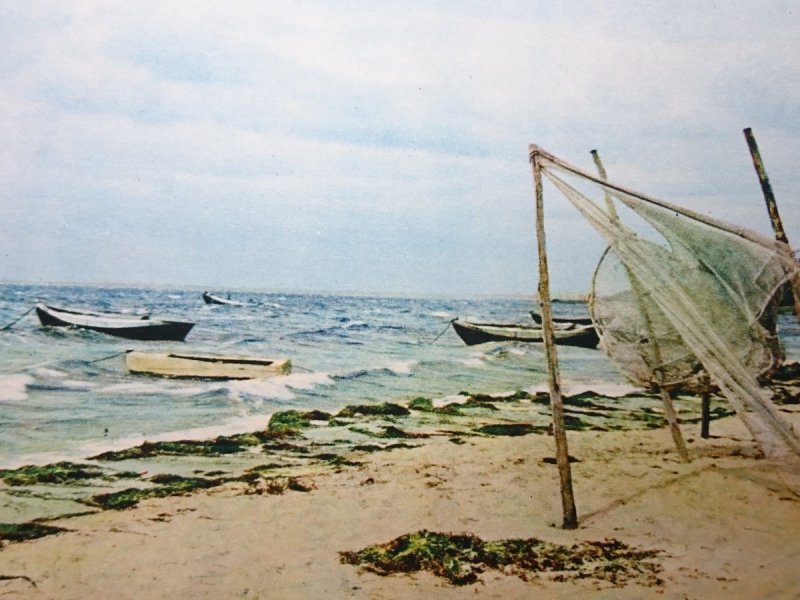 BRZEG MORSKI FOT. L. DMOWSKI