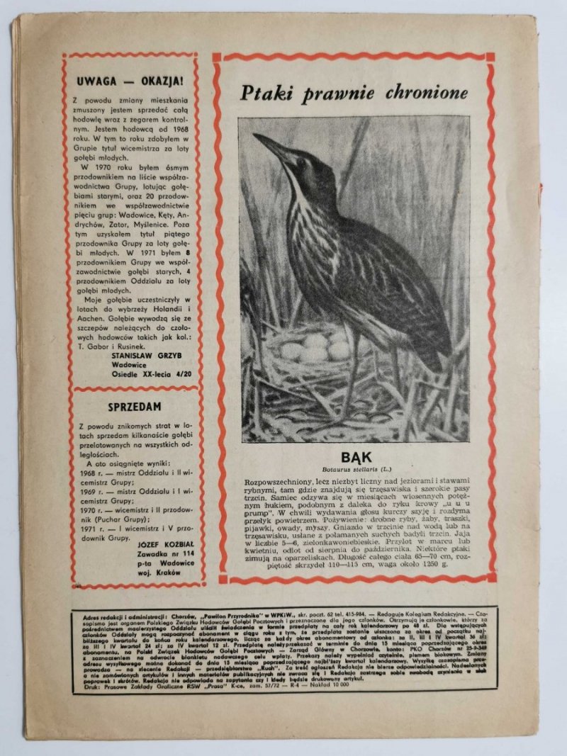 HODOWCA GOŁĘBI POCZTOWYCH NR 2 1972
