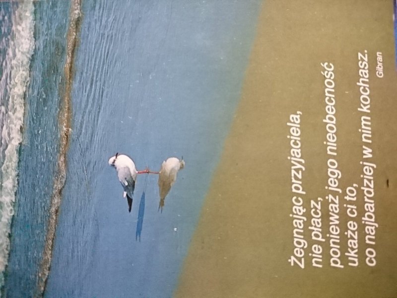 ŻEGNAJĄC PRZYJACIELA, NIE PŁACZ... GIBRAN
