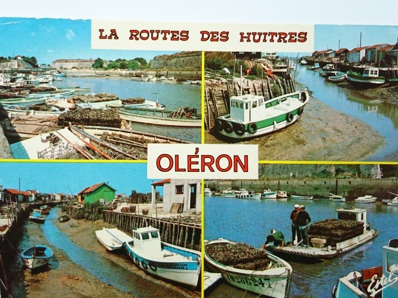 OLERON. LA ROUTES DES HUITRES