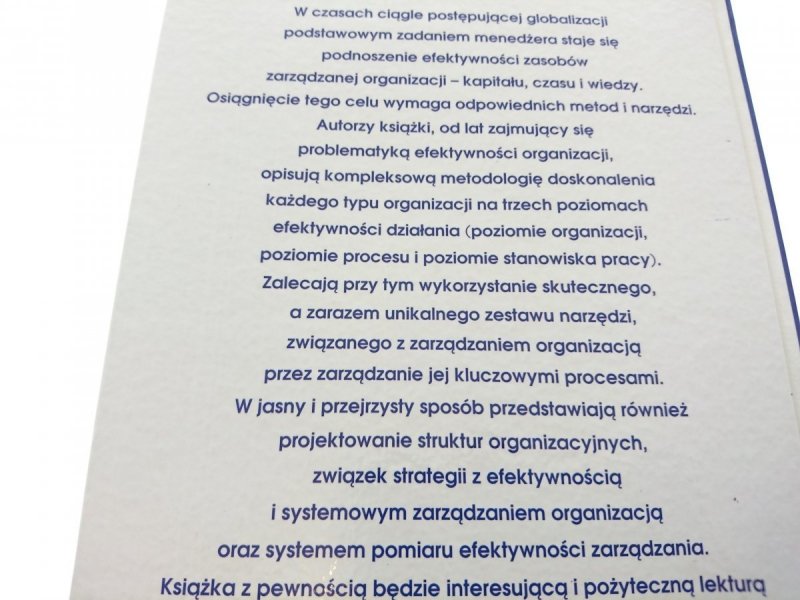 PODNOSZENIE EFEKTYWNOŚCI ORGANIZACJI Rummler 2000