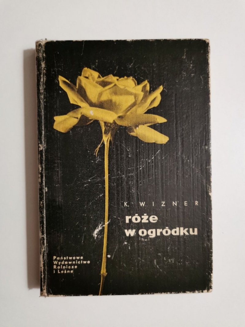 RÓŻE W OGRÓDKU - K. Wizner 