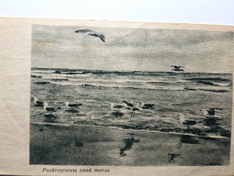 POZDROWIENIA ZNAD MORZA