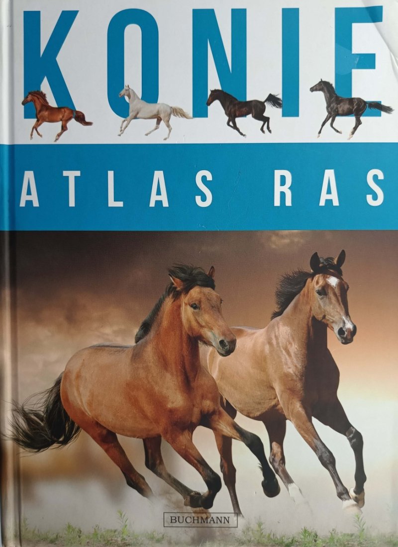 KONIE. ATLAS RAS - Katarzyna Piechocka