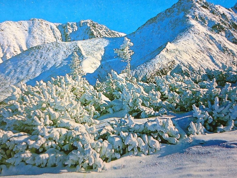 TATRY - WIDOK Z HALI KRÓLOWEJ NA ŻÓŁTĄ...FOT MOMOT