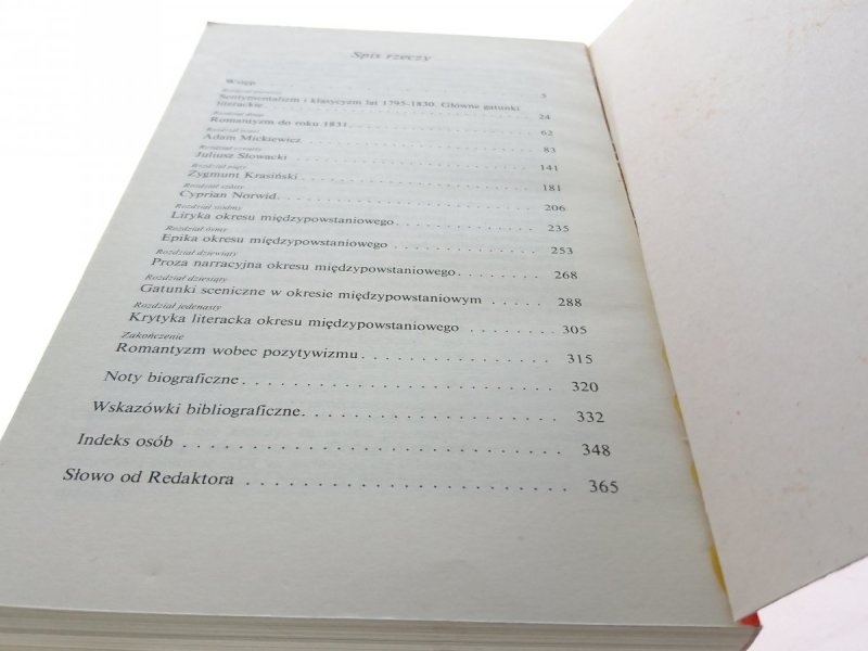 LITERATURA ROMANTYZMU - Alina Witkowska 1987