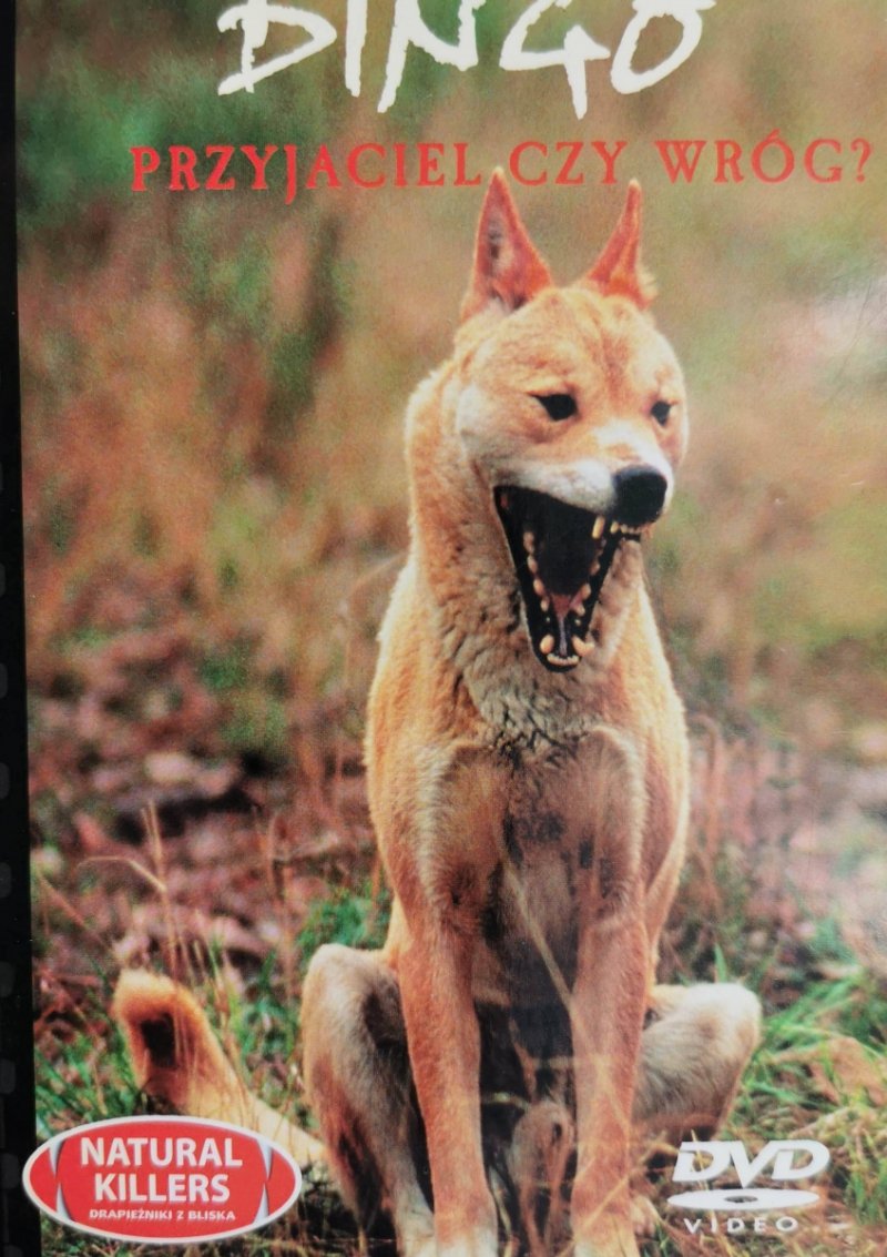 DVD. NATURAL KILLERS TOM 16. DINGO PRZYJACIEL CZY WRÓG